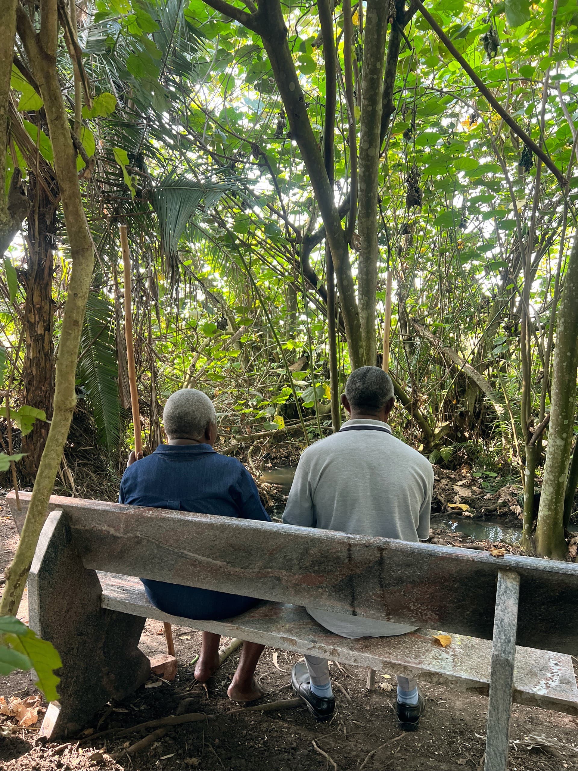 Members resting on a bench beside a forest stream
