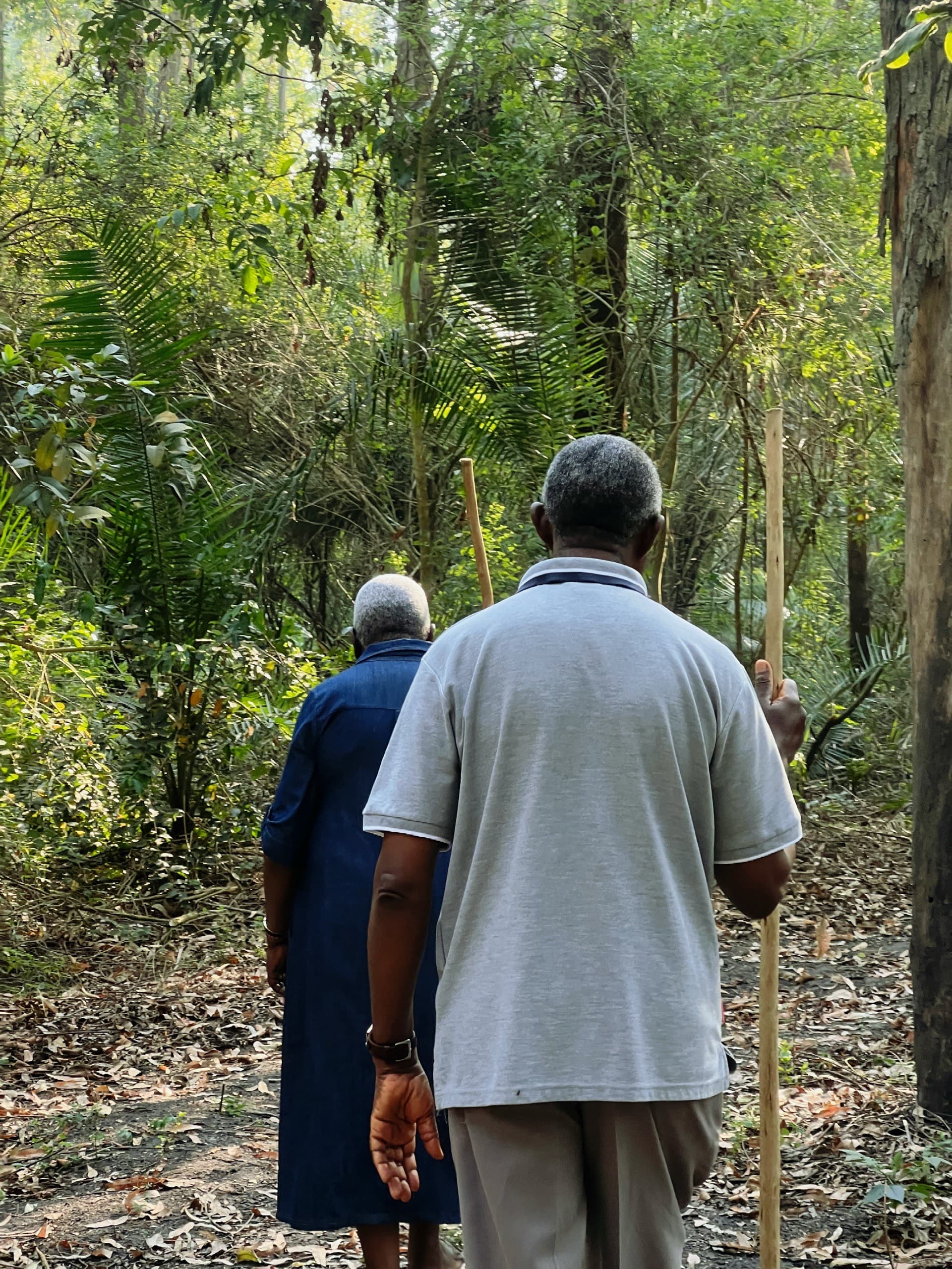 Members walking together on a forest trail